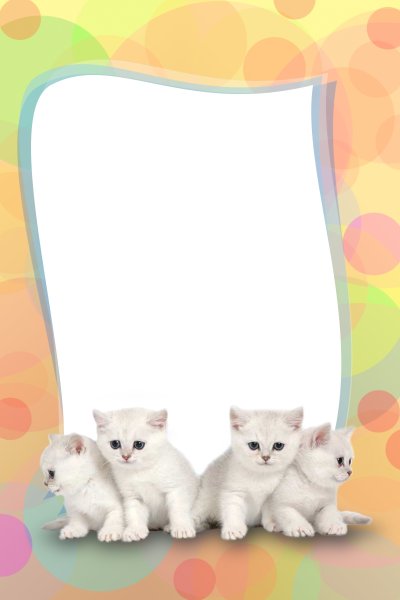 Рамка для проекта домашние питомцы