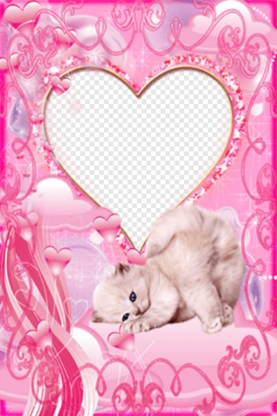 Рамочка с котятами
