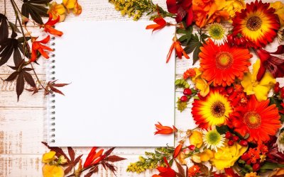 Фон для поздравительной открытки