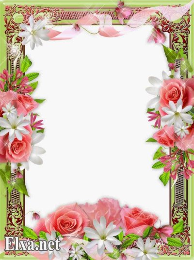 Красивые рамочки с цветами