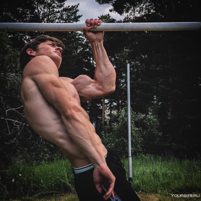 Дмитрий Митрофанов воркаутер