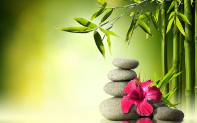 Фен шуй рабочего стола