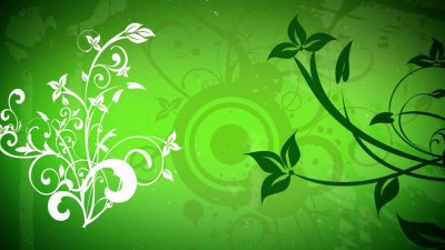 Зеленый фон с татарским орнаментом