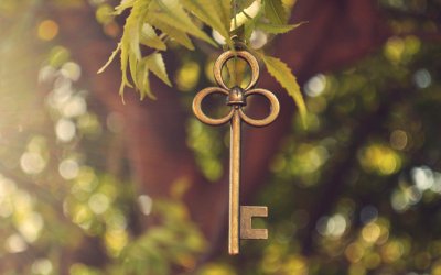 Красивый старинный ключ