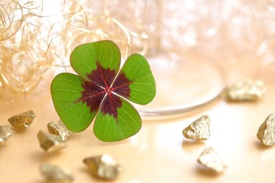 Клевер четырехлистный фен шуй