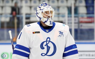 Волк Динамо Москва хоккей