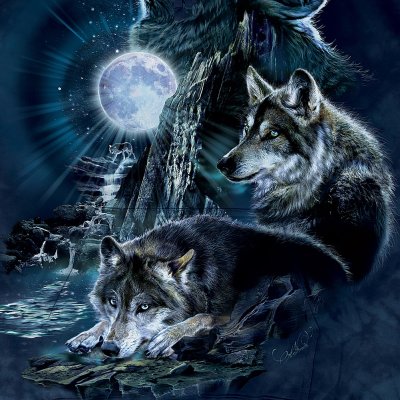 Изображение волка