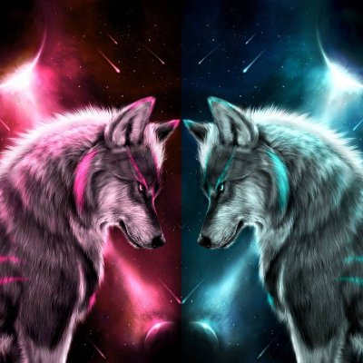 Волки красивые разноцветные