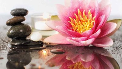 Лотос и камни