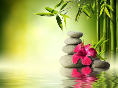 Бамбук камни вода