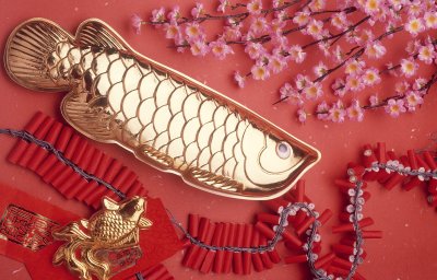 Рыба Арована по фен шуй