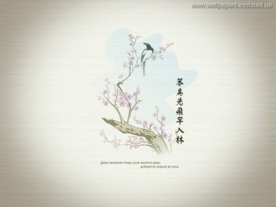 Обои по фыйшуй на телефон