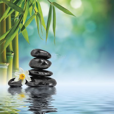 Картина бамбук и камни