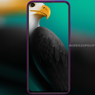 Обои попугай хонор 20