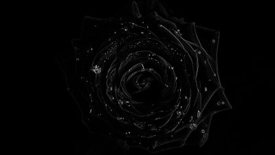 Черные обои