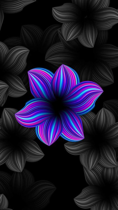 Красивые цветы на черном фоне