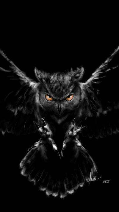 Чёрная Сова