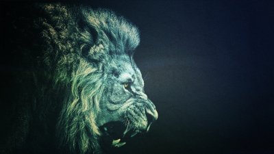 Аслан хроники Нарнии