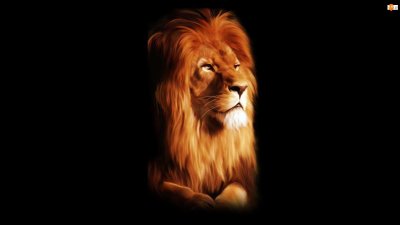 Фон рабочего стола Лев