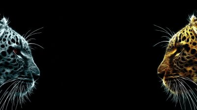 Фон рабочего стола для двух мониторов