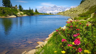 Успокаивающий пейзаж