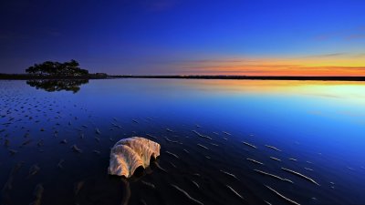 Успокаивающая природа