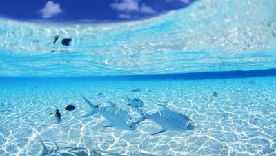 Чистое море