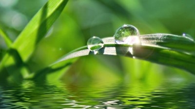 Картинки на рабочий стол успокаивающие