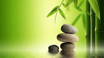 Бамбук и камни