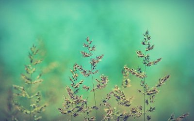 Успокаивающие фоны