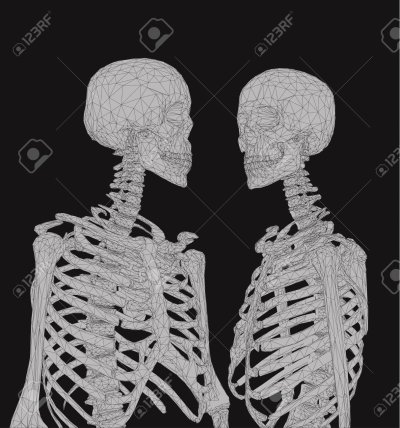 Парные обои скелеты