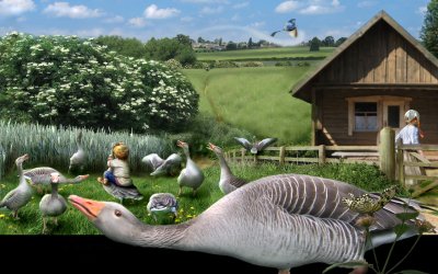 Гусь деревенский