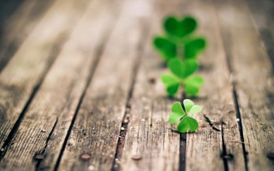 Четырехлистный Клевер HD