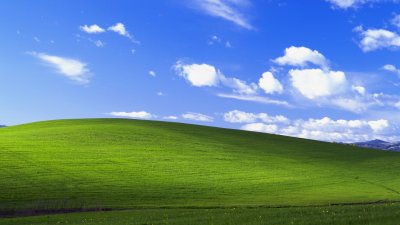 Поле Windows XP
