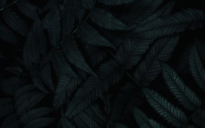 Темные обои на смартфон