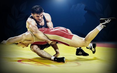 Греко-Римская, Вольная борцы