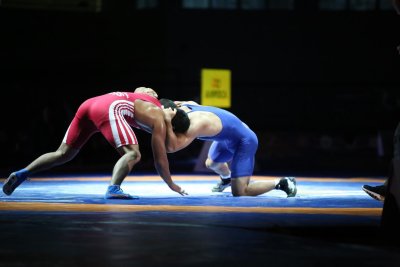 Вольная борьба баннер