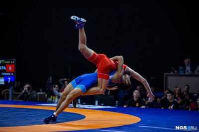 Вольная борьба