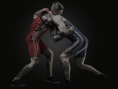 Вольная борьба Эстетика