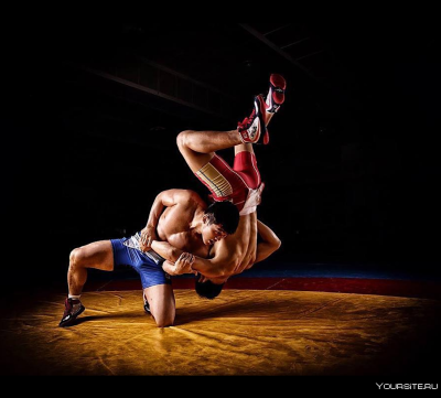 Обои борьба