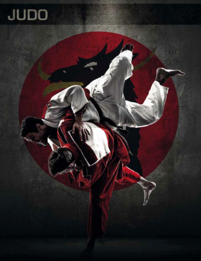 Дзюдо боевое искусство