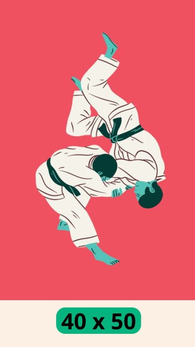 Дзюдо Минимализм