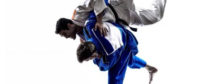 Джиу джитсу бросок