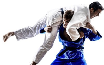 Самбо дзюдо джиу джитсу