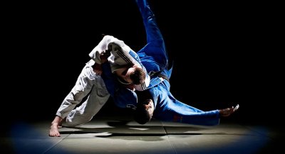 Дзюдо Эстетика