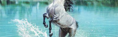 Лошади в воде