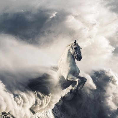 Небесные кони