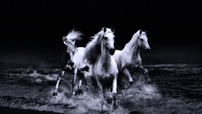Фон для рабочего стола лошади