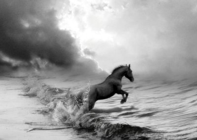 Одинокая лошадь