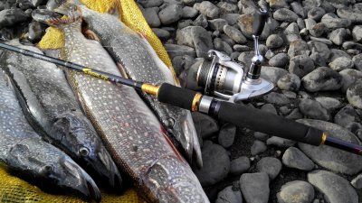 Улов на спиннинг